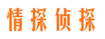 高陵外遇调查取证